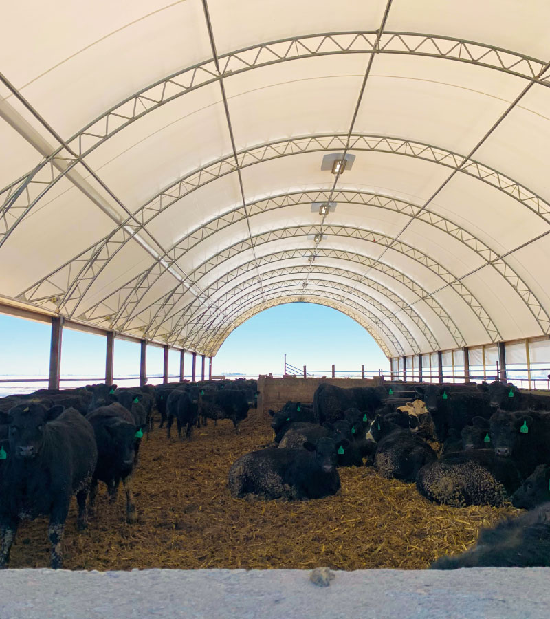 Customized Livestock Barns | Hoop Buildings